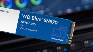 Western Digital SSDs