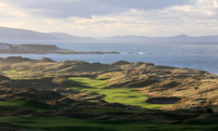 ROYAL PORTRUSH