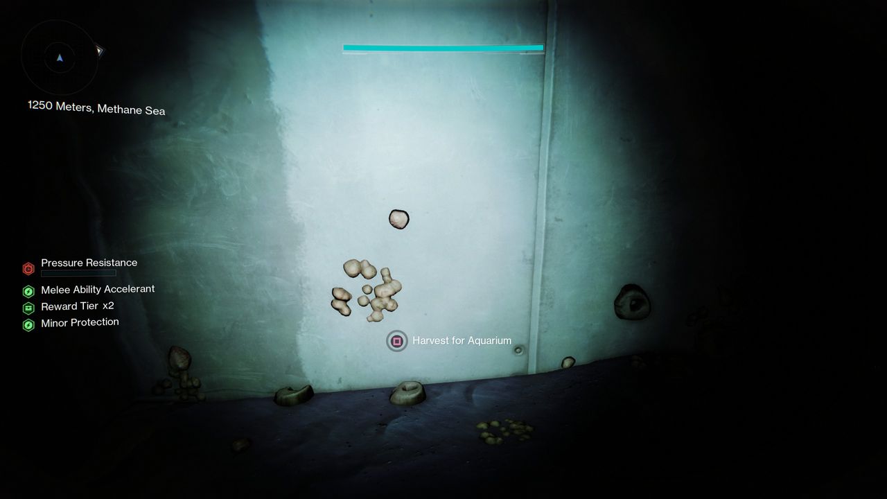 Destiny 2 Deep Dive secrets - Midnight Plant