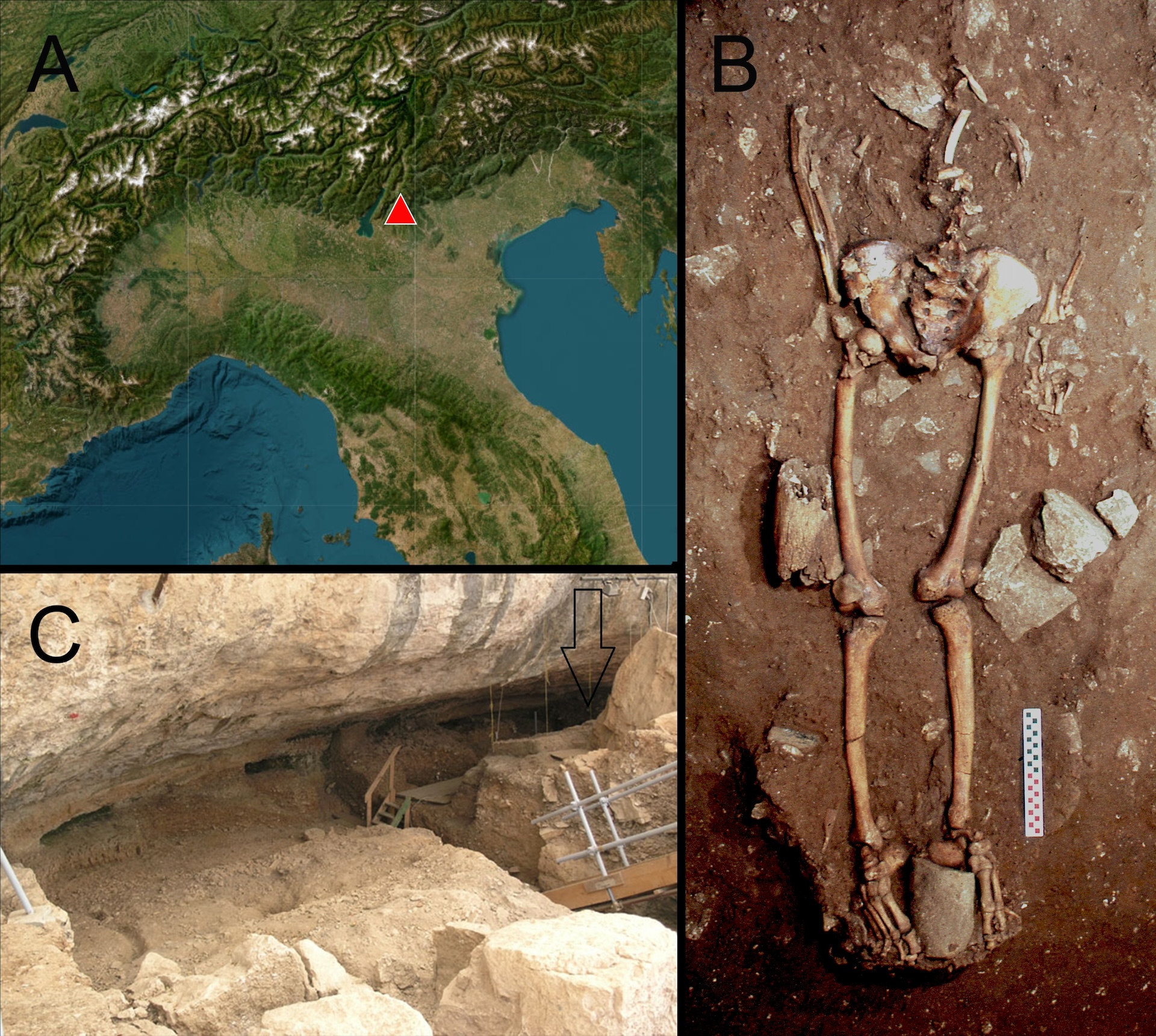 a three-paneled image. The first panel is a map with a marker on a mountainous region in northern Italy. The second panel shows a skeleton in the ground. The third panel shows an archaeological site.