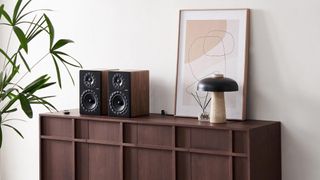 These small wireless speakers are huge on connectivity for a nice price