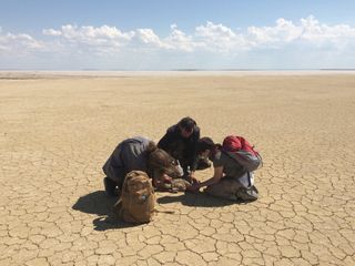 Steffen Zuther of ACBK and Frankfurt Zoological Society works with students in the Irghiz region of Kazakhstan in 2016, taking biological measurements of a young saiga antelope.