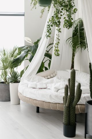 A cozy nook surrounded by plants including a potted cactus