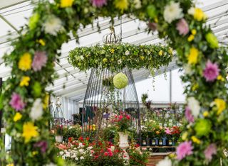RHS Tatton Park Flower Show