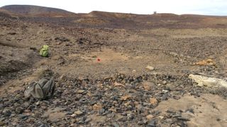 Discovery site at Napudet, west of Lake Turkana, Kenya. The red flag marks where Alesi was found.