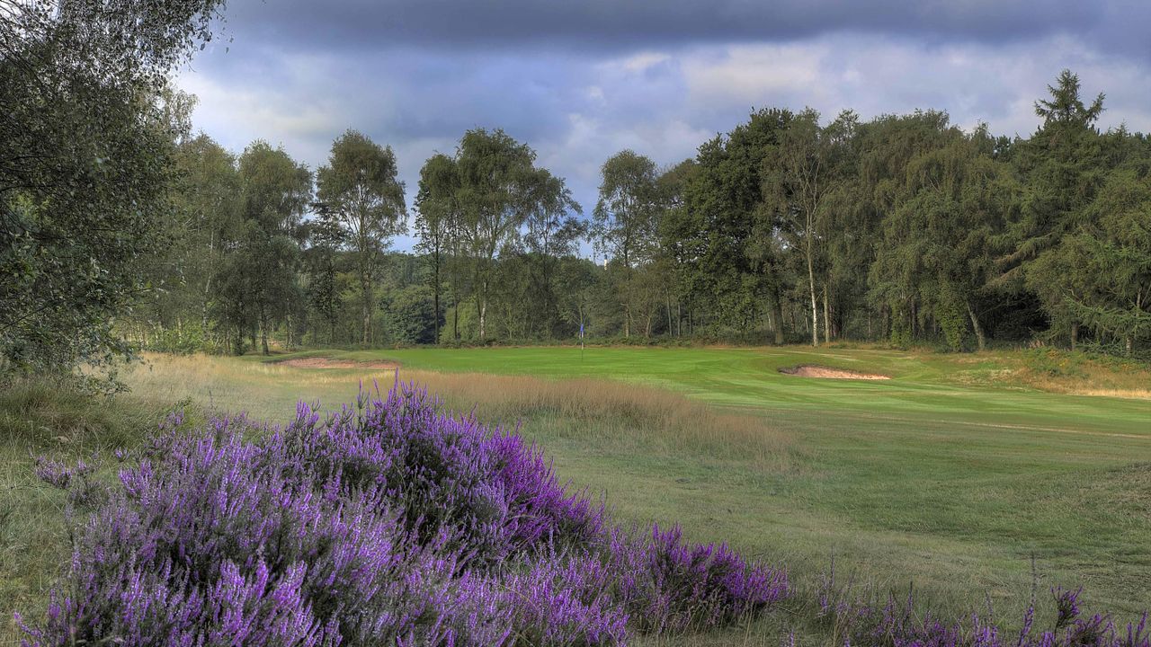 Sherwood Forest - Hole 17