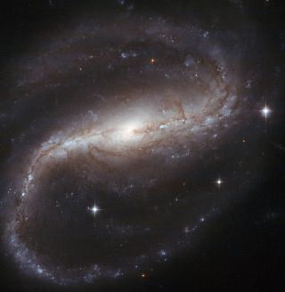 Spiral galaxy NGC 7479 displays tightly wound arms of the spiral galaxy spinning in an anticlockwise direction, in this Hubble Space Telescope photograph. However, at radio wavelengths, this galaxy (sometimes nicknamed the Propeller Galaxy) spins the othe