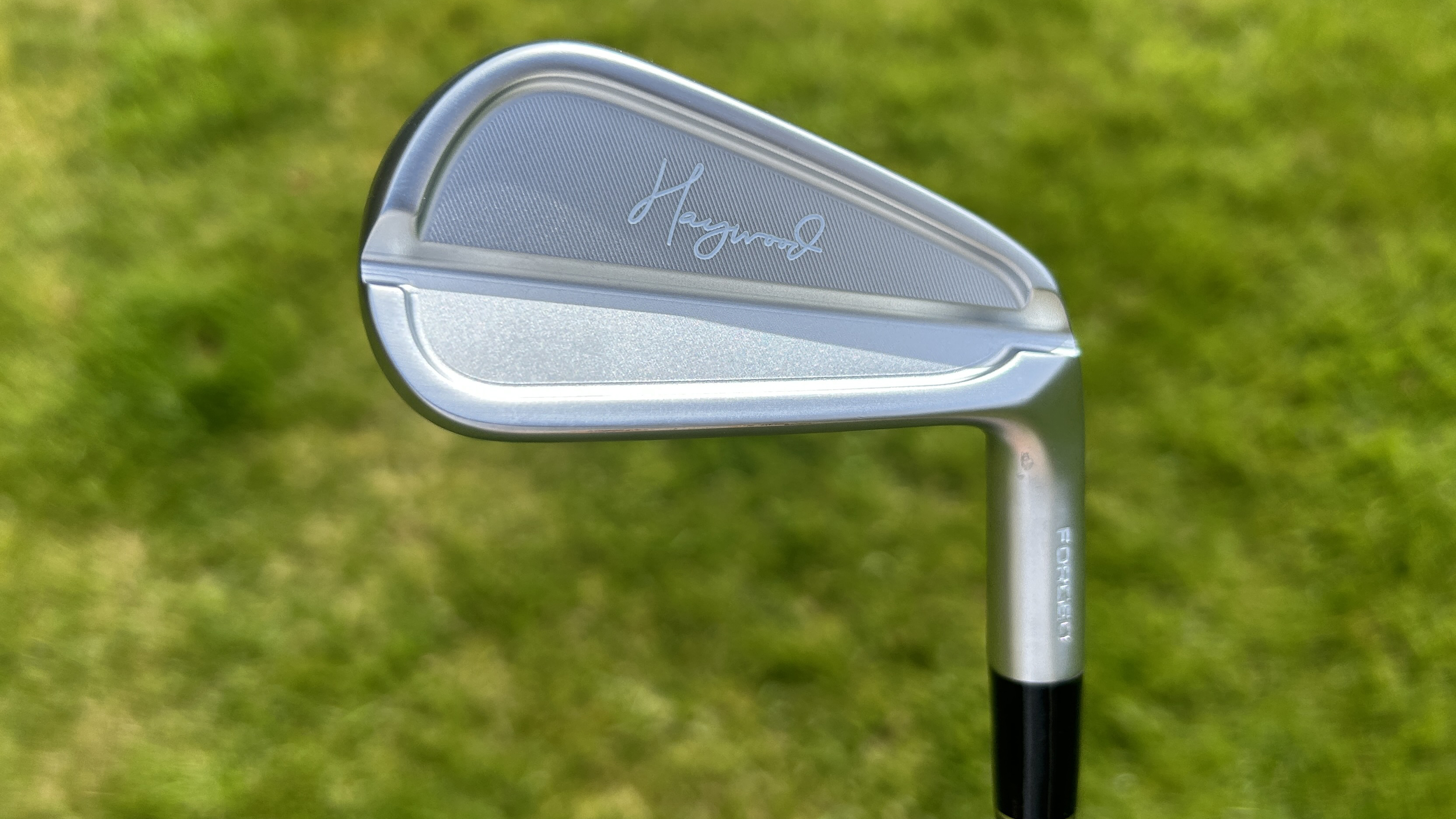 Photo of the Haywood CB Iron