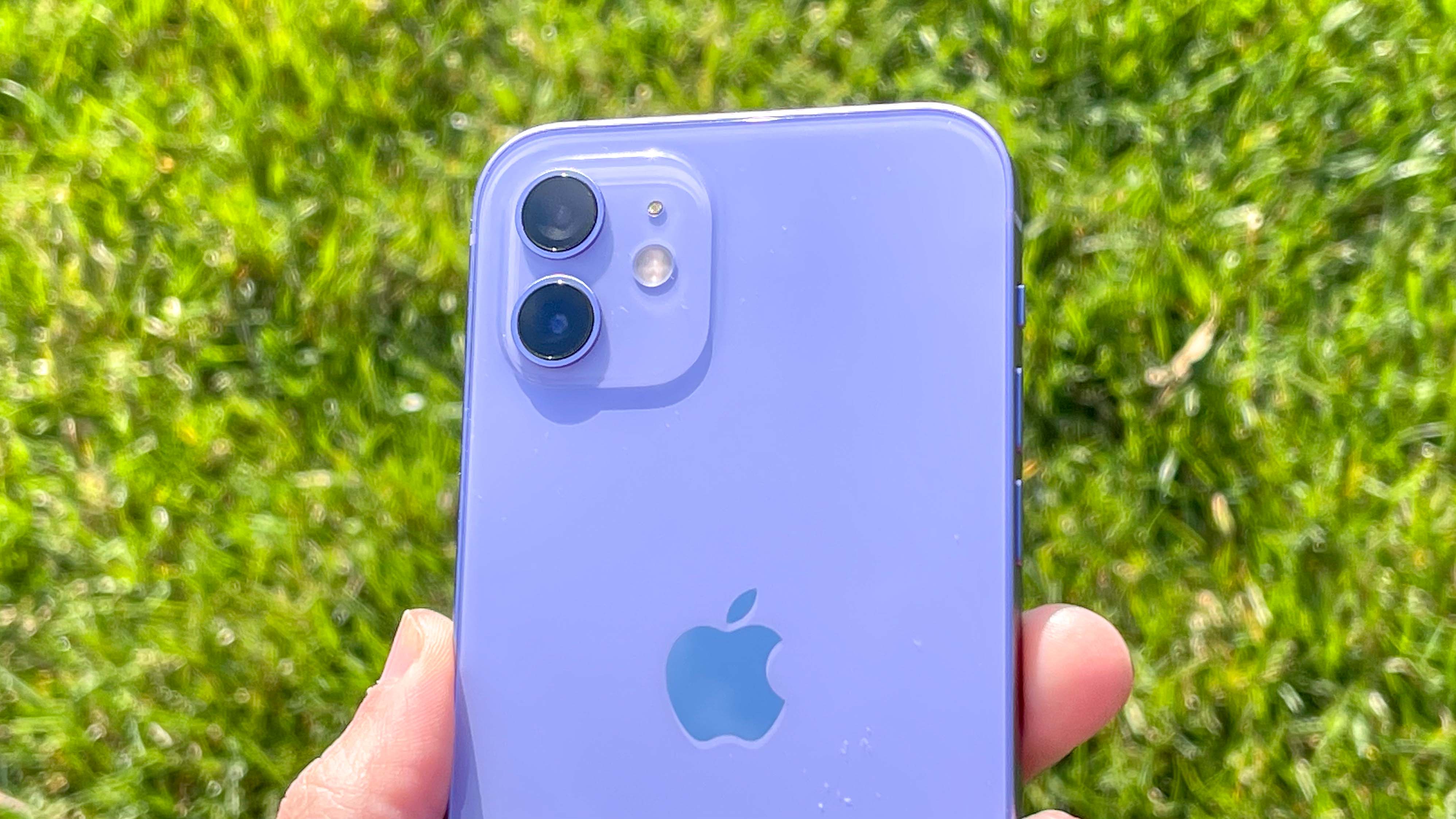 Purple iPhone 12