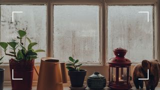 Window with condensation to support expert advice article on how to prevent condensation on windows