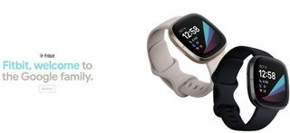 Fitbit Google Store Banner