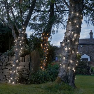 An example of outdoor string lighting ideas showing string lights around trees