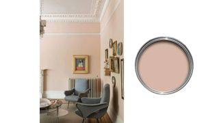 Farrow & Ball Setting Plaster, used in a living room – next to a pot of the paint