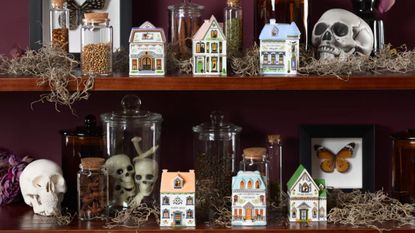 Lenox Halloween spice village on shelves decorated with spooky decor including fake skulls and dried moss.