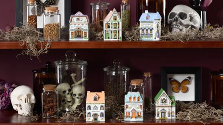 Lenox Halloween spice village on shelves decorated with spooky decor including fake skulls and dried moss. 