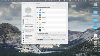 iCloud settings on macOS Big Sur