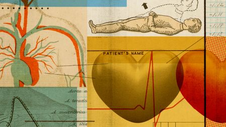 Photo collage illustration of hearts, circulatory system and exercise diagrams, and medical imagery