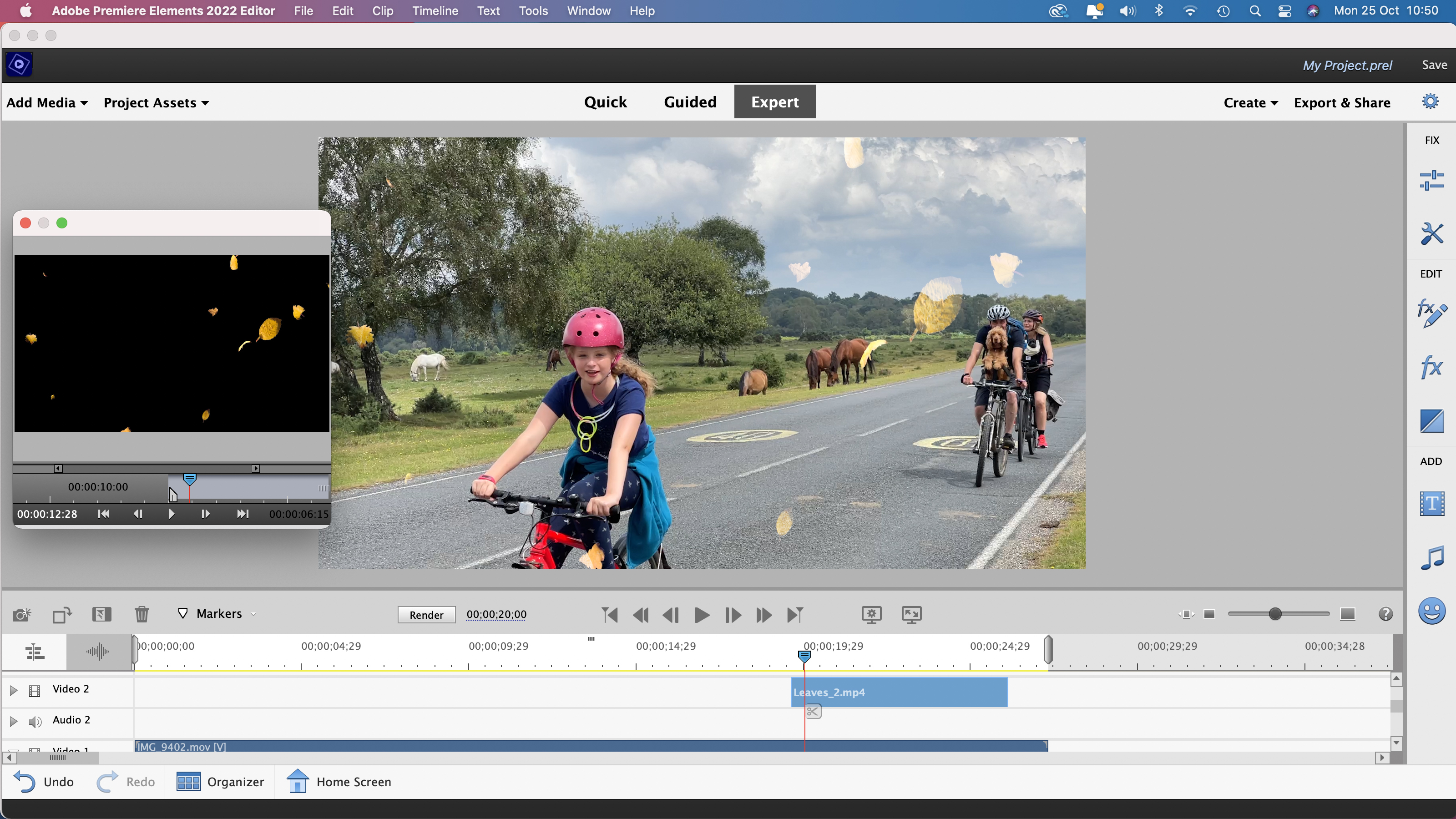 Adobe Premiere Elements 2022 review | Digital Camera World