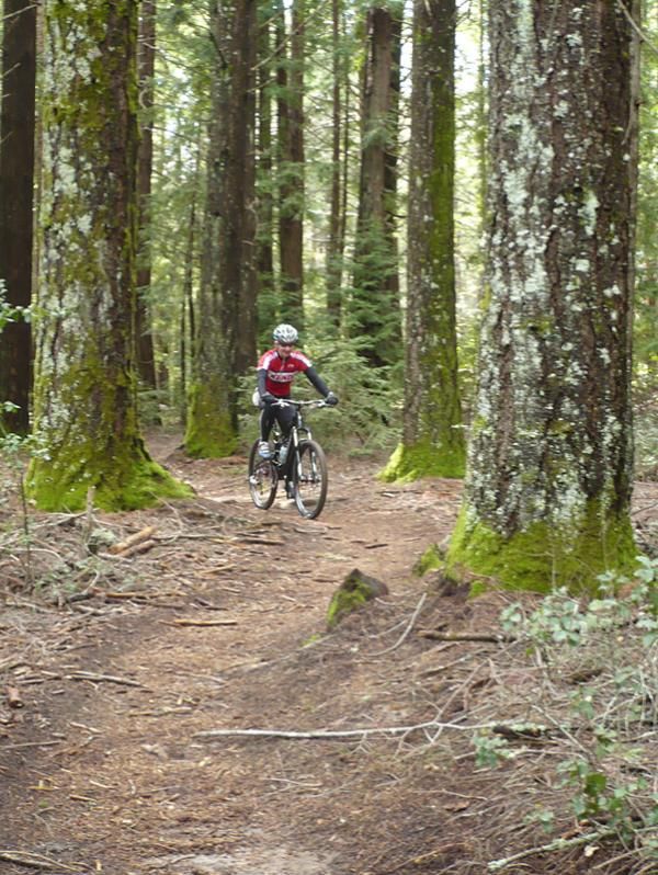 Cyclingnews tester Sue George riding the Santa Cruz Nickel in the forests around Santa Cruz.