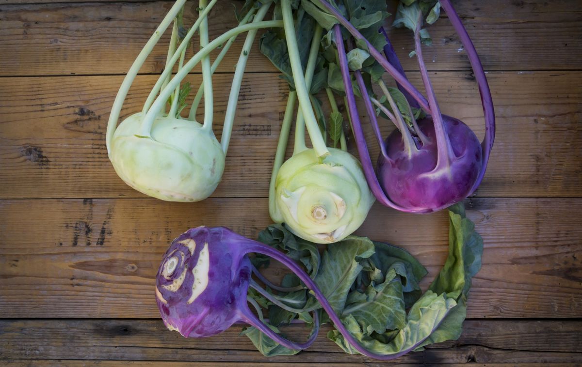 Kohlrabi 11 ways to cook with kohlrabi, which is part of the cabbage