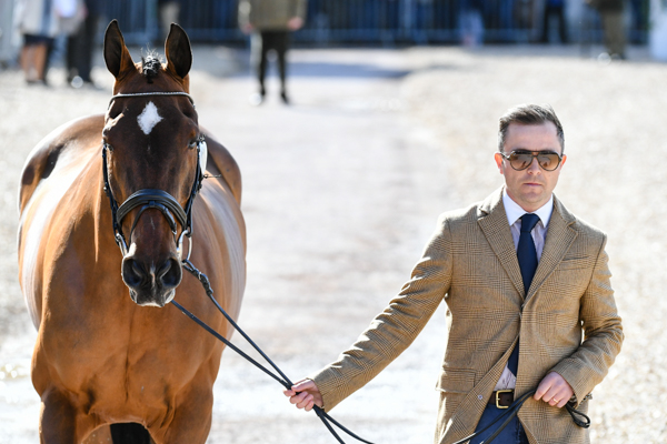 Badminton Horse Trials fashion