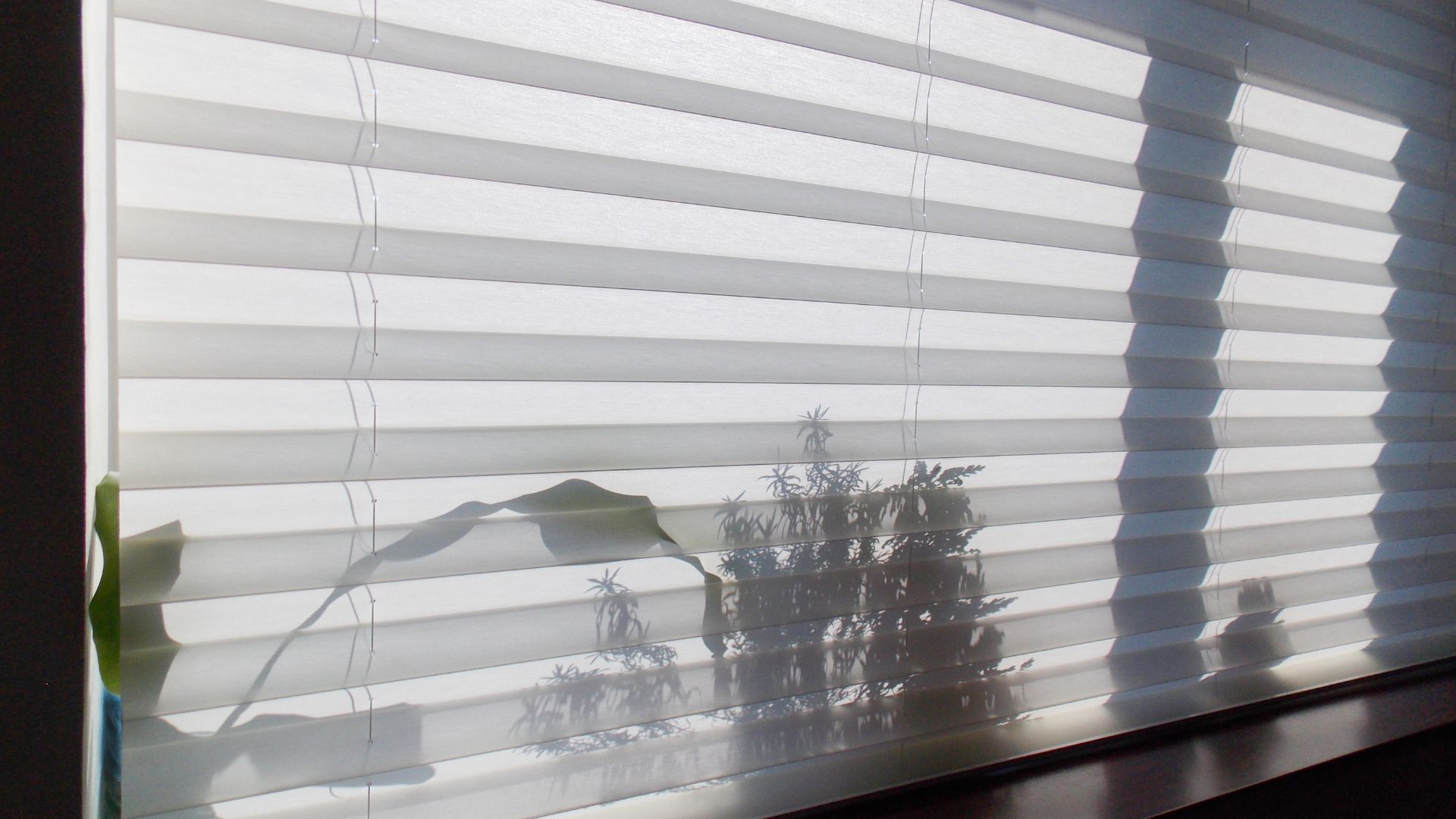 picture of pleated blinds blocking out sun in home