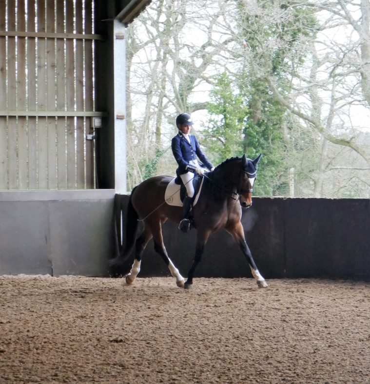 P1640498-e1553521130222.jpg