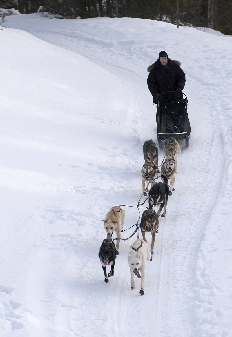 Air Force major trains for Iditarod