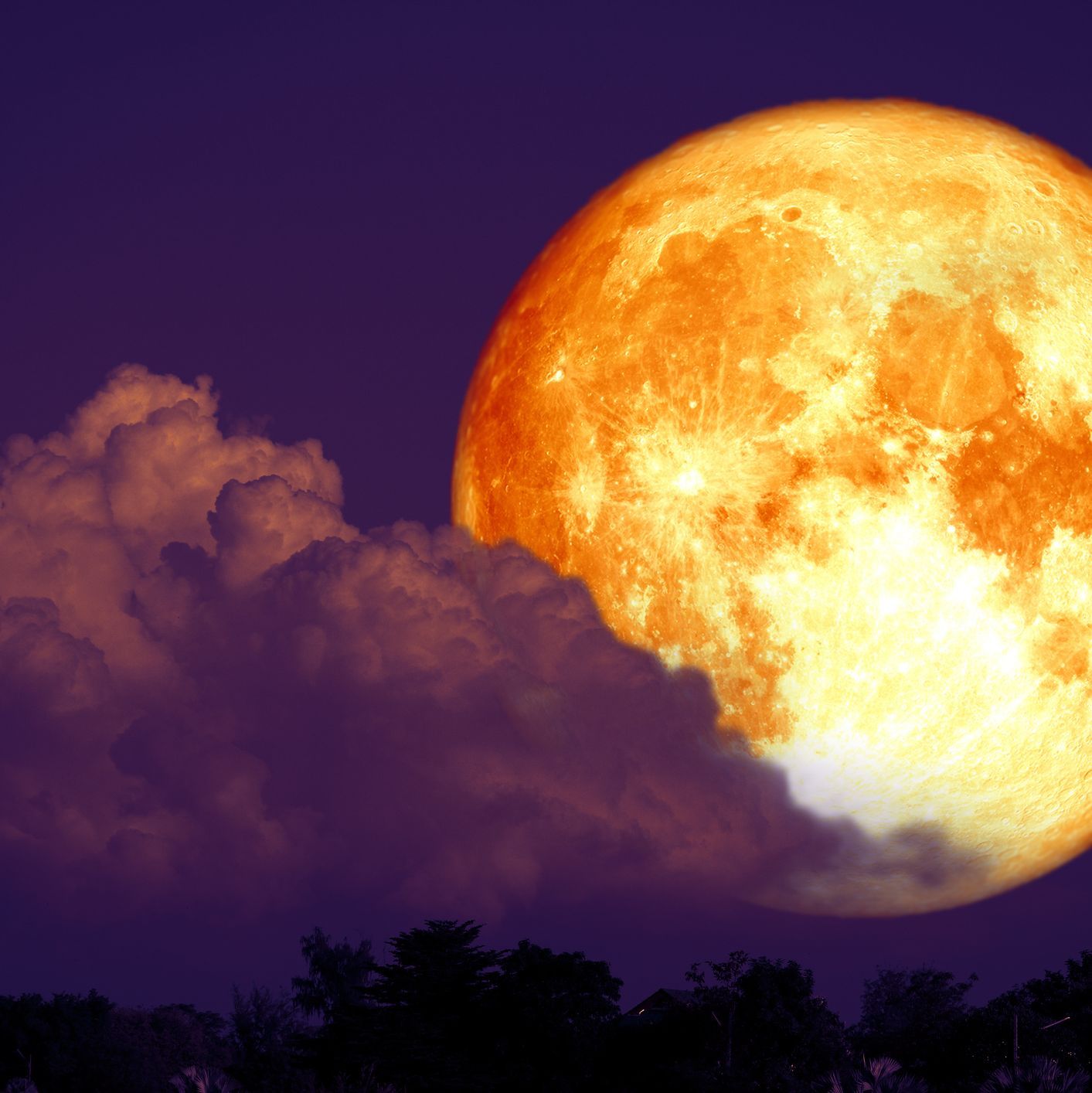 red sturgeon moon on the night red sky back silhouette tree