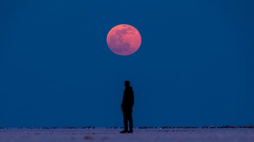 a person stands below a blood moon during total lunar eclipse