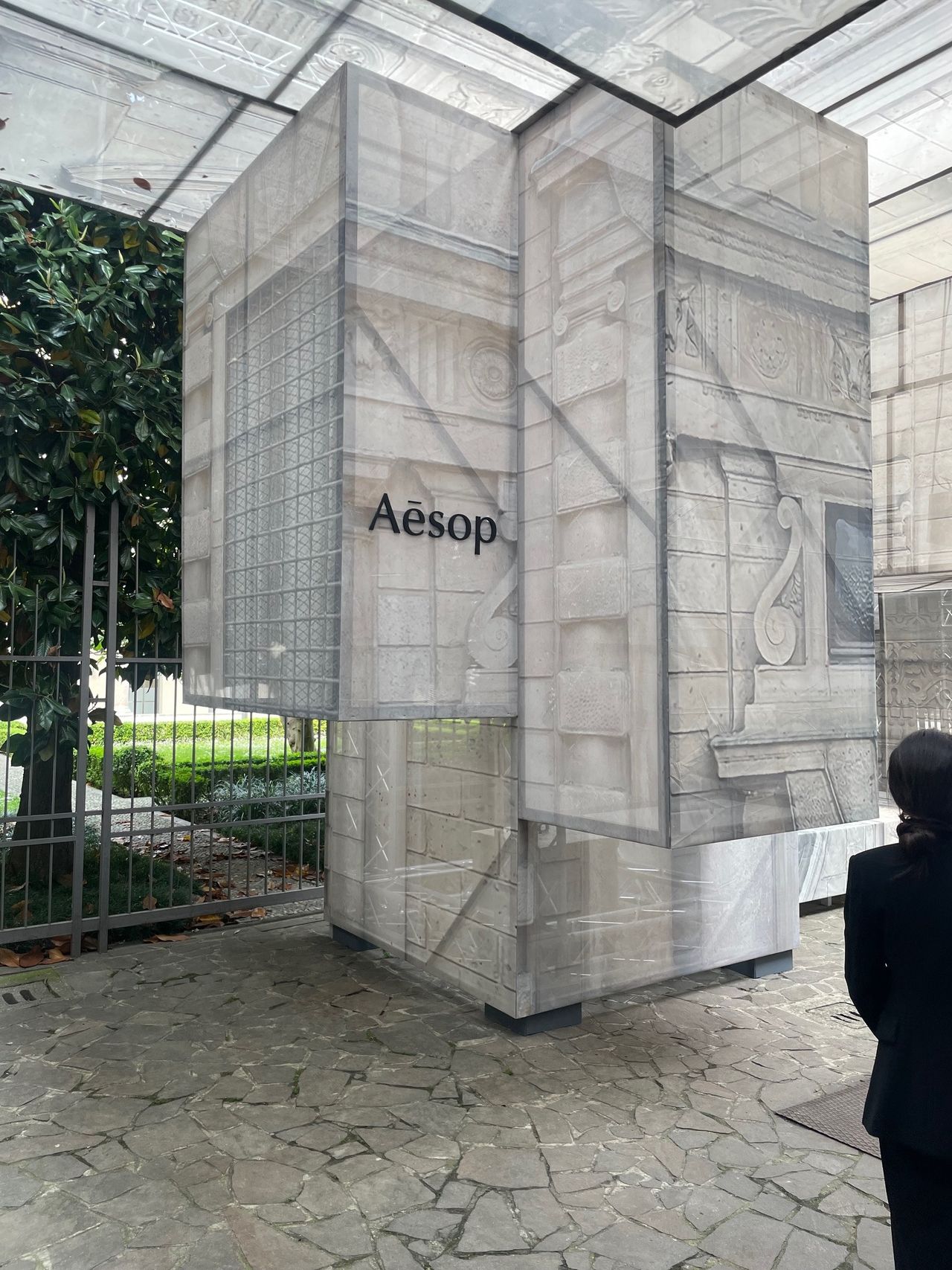 Aesop