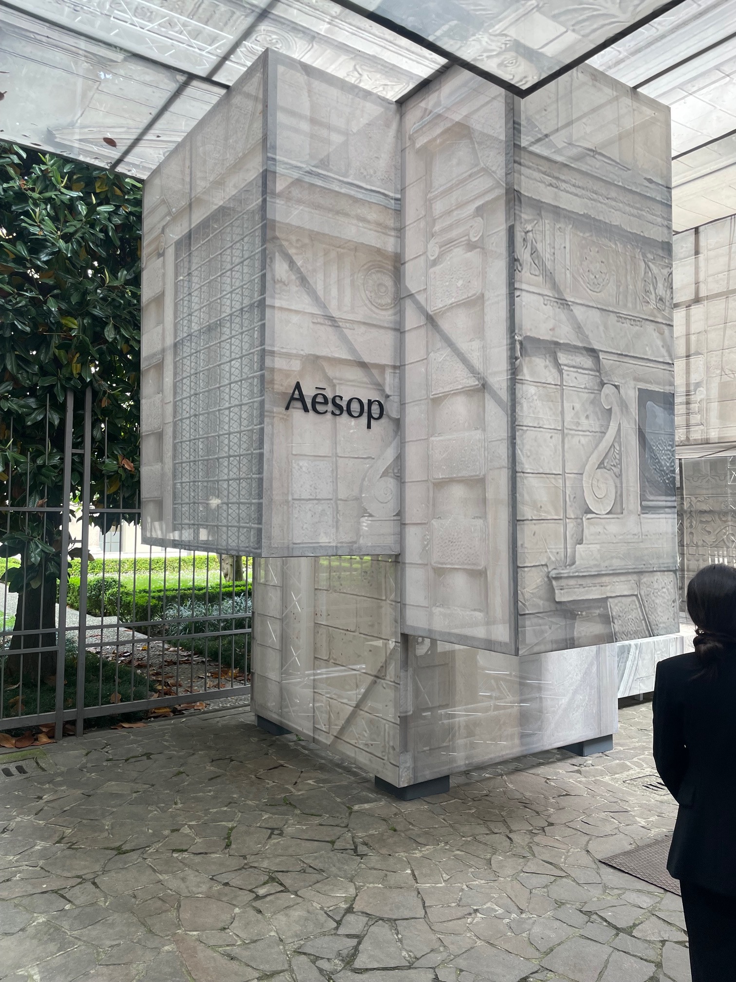 Aesop