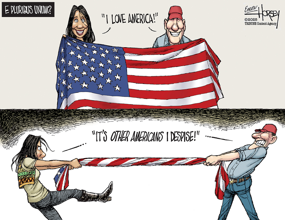 The top panel of this two-panel cartoon shows a smiling man in a red "MAGA" hat and a smiling woman, both holding up the American flag, with the man exclaiming, "I LOVE AMERICA!" Above them, text questions, "E PLURIBUS UNUM?" The bottom panel shows the same man and woman in a tug-of-war, pulling on a tattered, rope-like American flag, with the man grimacing and the woman scowling. Text between them reads, "IT'S OTHER AMERICANS I DESPISE!"