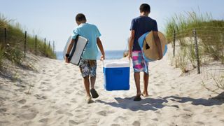 best camping coolers: people carrying cooler box to the beach
