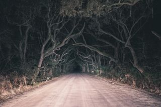 A narrow road in a dark, overgrown forest. Botany Bay old oak tree road at night in Edisto Island, South Carolina, USA.