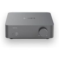 Wiim Vibelink Amp