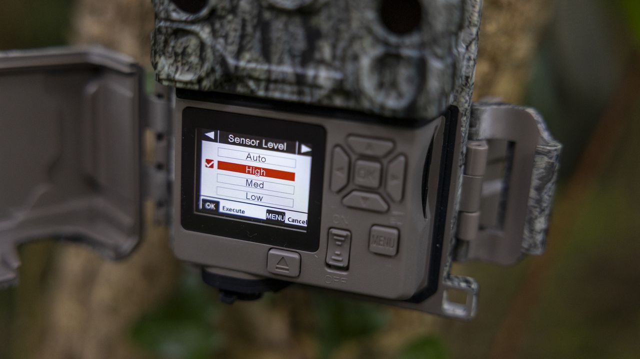 The Bushnell Core S-4K No Glow trail camera mounted on a woodland tree
