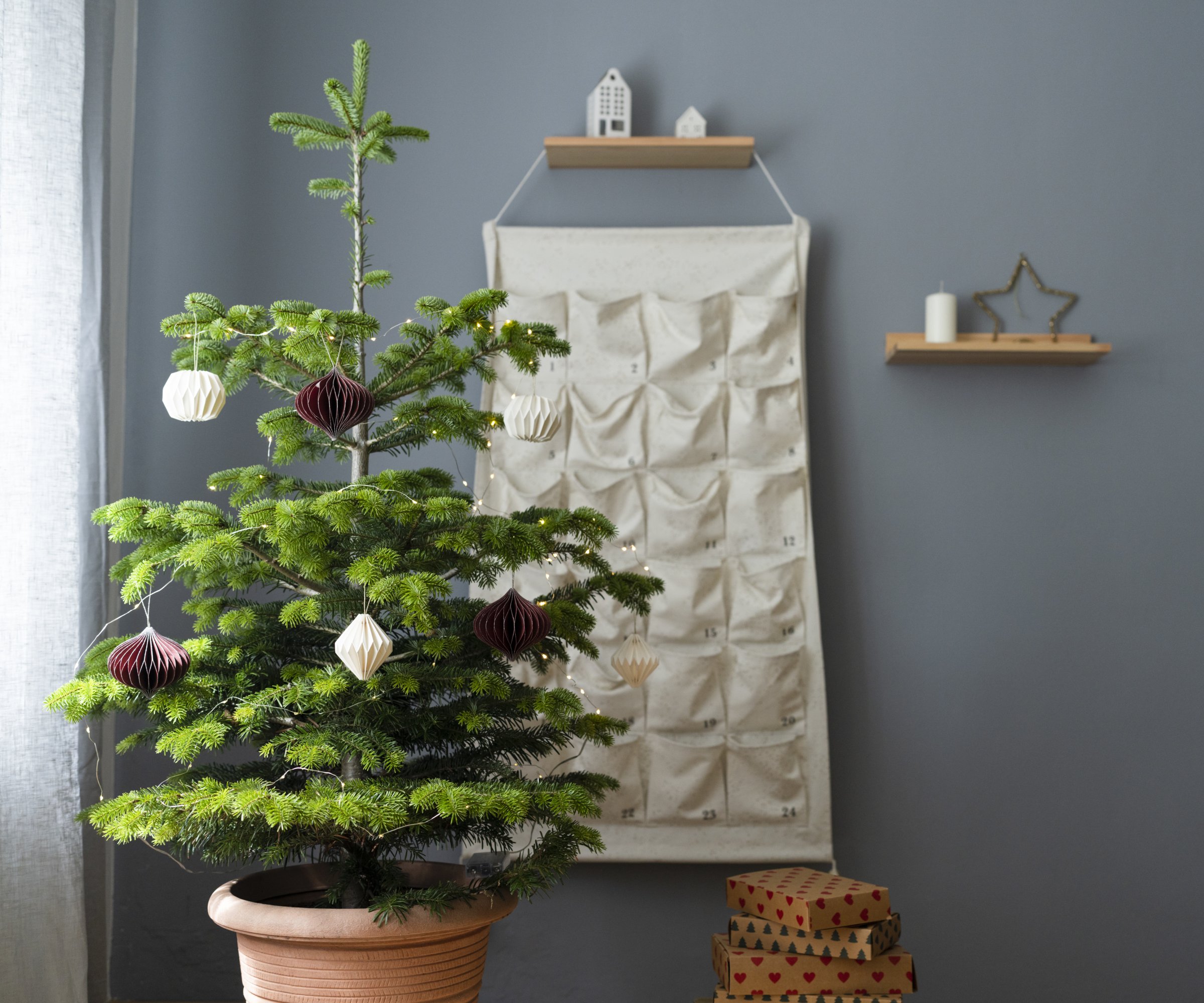 A potted Christmas tree in a home