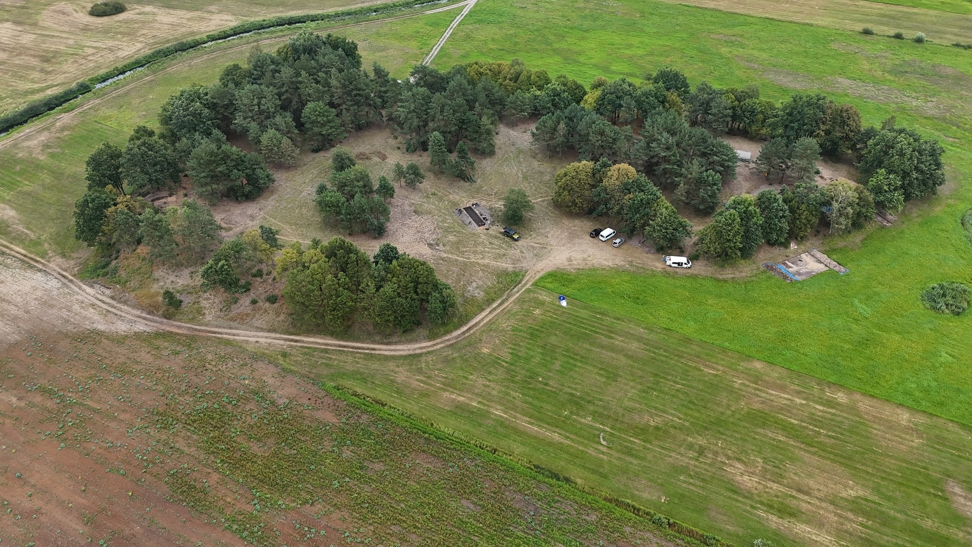 Uma vista aérea de um grupo de árvores em um campo gramado