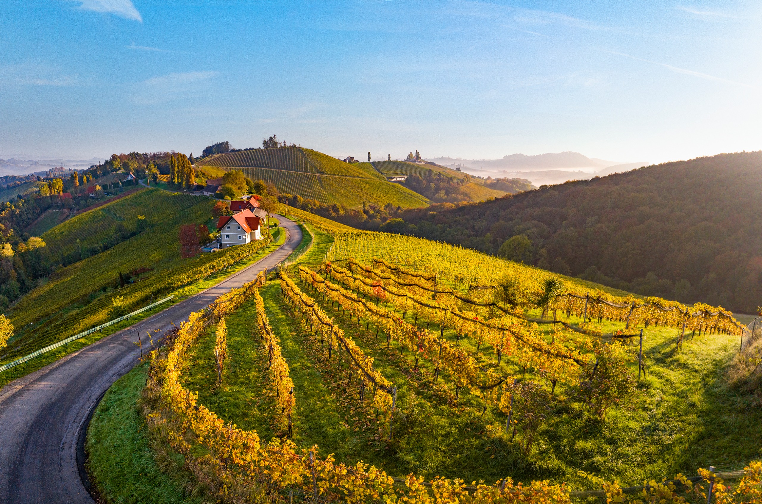 View over sunny hills with autumnal vines, and Alpine looking buildings in the distance