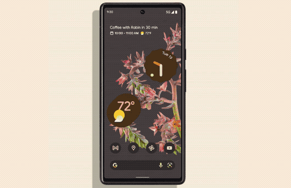 Google Pixel 6 android