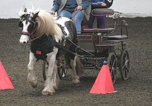 stolencarriage.jpg