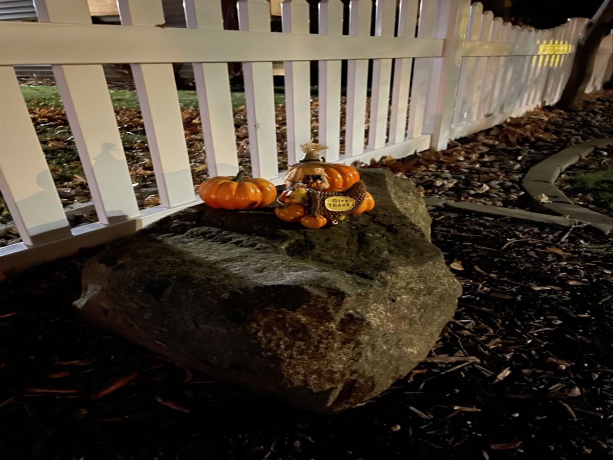 Galaxy Note 20 Ultra camera samples