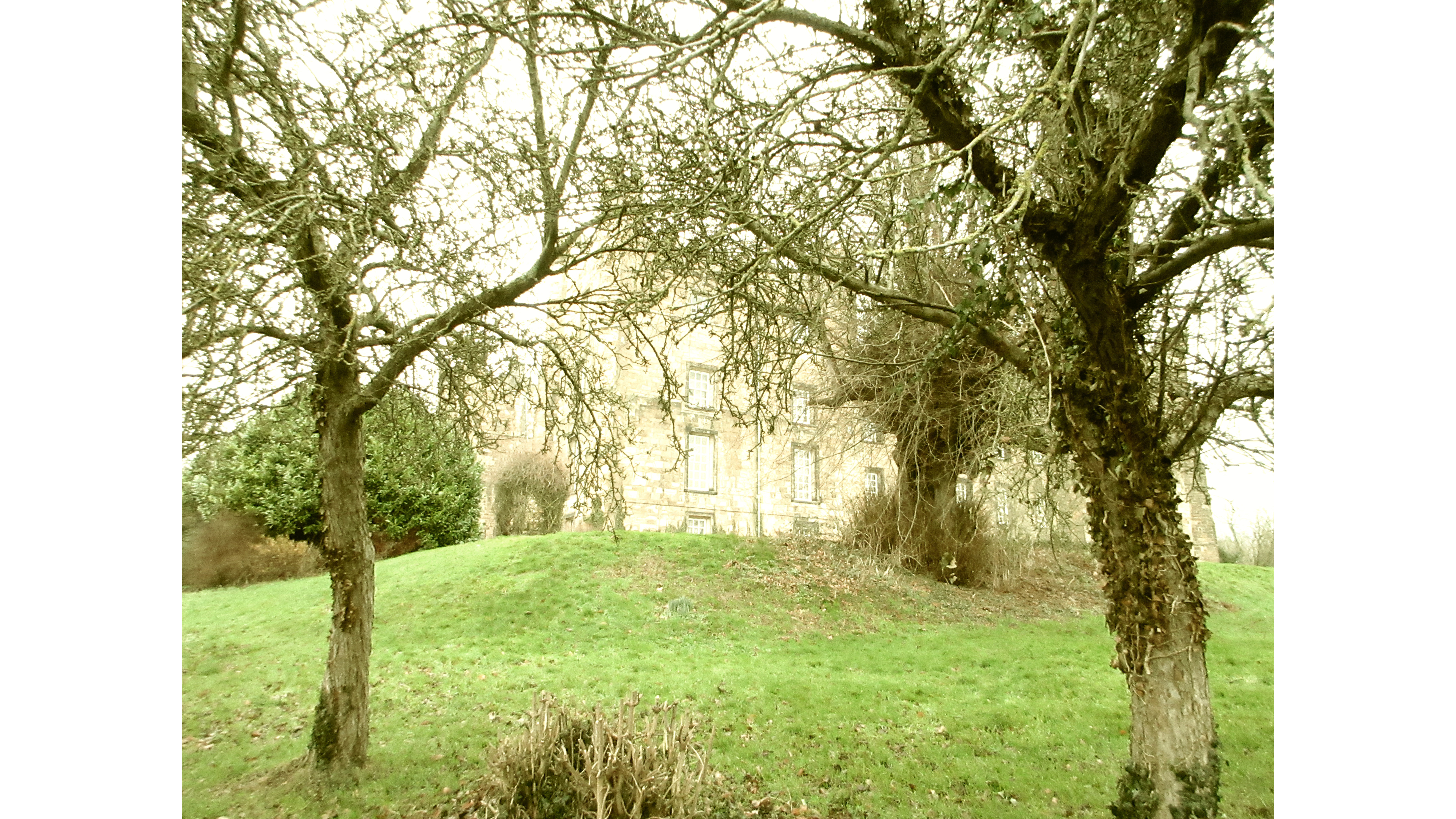 Images takes with the Canon Powershot Ixus 285 HS A