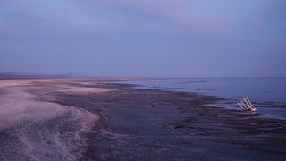 A view of a beach with various pieces of trash on it.
