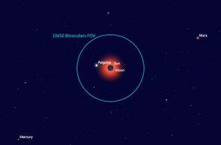 Visible only during totality, Regulus — the brightest star in the constellation Leo — will be situated only an apparent finger's width from the eclipsed sun, and may be overlain by portions of the extensive corona that surrounds the sun. A typical field of view circle, as seen from binoculars, is provided for reference. The angles of Regulus and the dim planets Mercury and Mars will vary state by state, shown here for midcontinent. Eclipse Safari and other sky-charting apps provide the planets' arrangement as seen from your location.