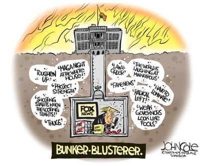 Political Cartoon U.S. Trump bunker George Floyd protests