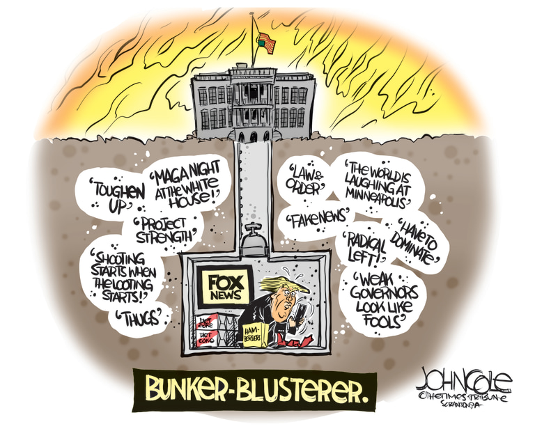 Political Cartoon U.S. Trump bunker George Floyd protests | The Week