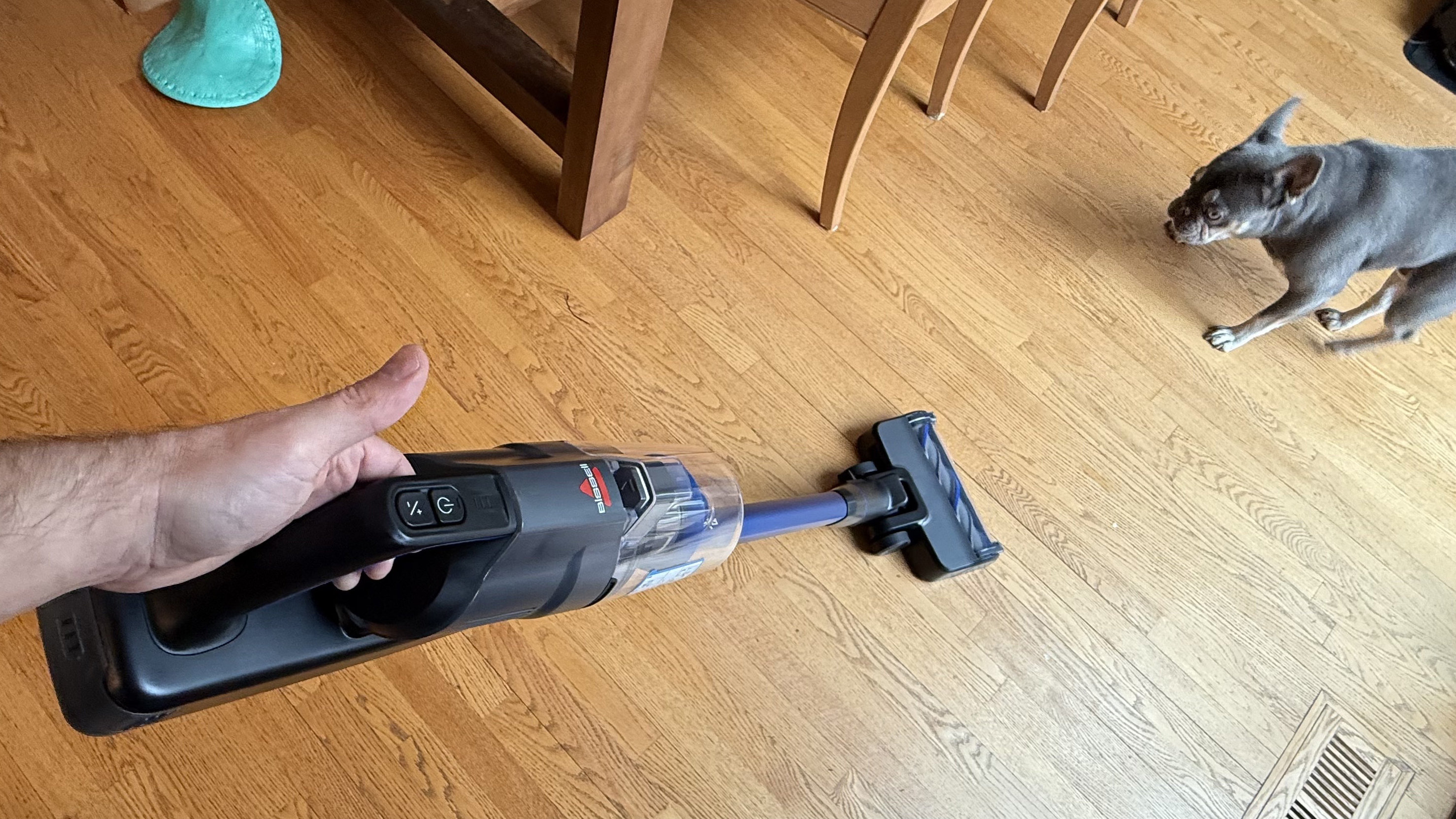 Bissell PowerClean FurFinder vacuum