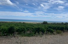 La Clape latest releases